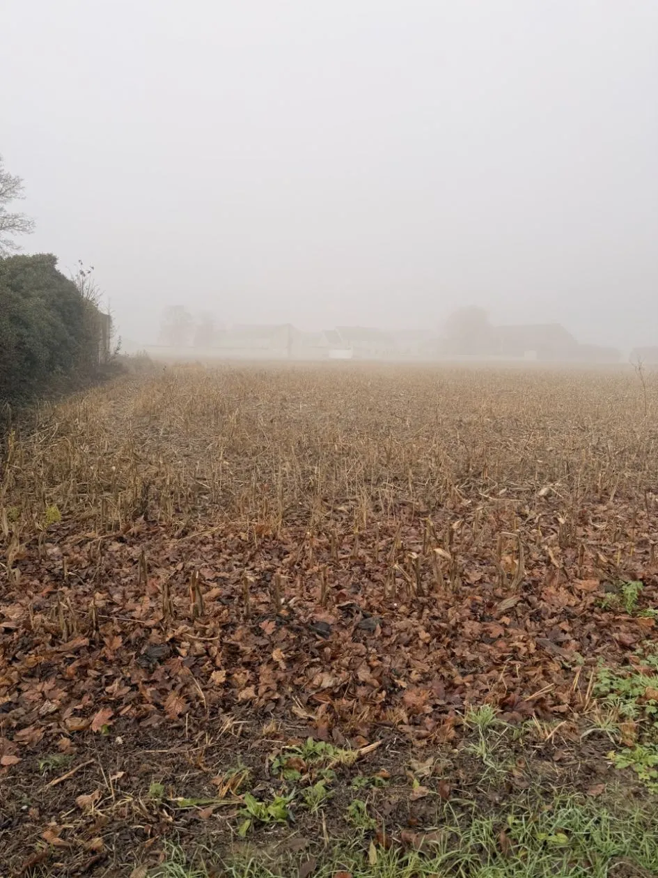 Terrain à bâtir 766 m² à Avrainville (91630)
