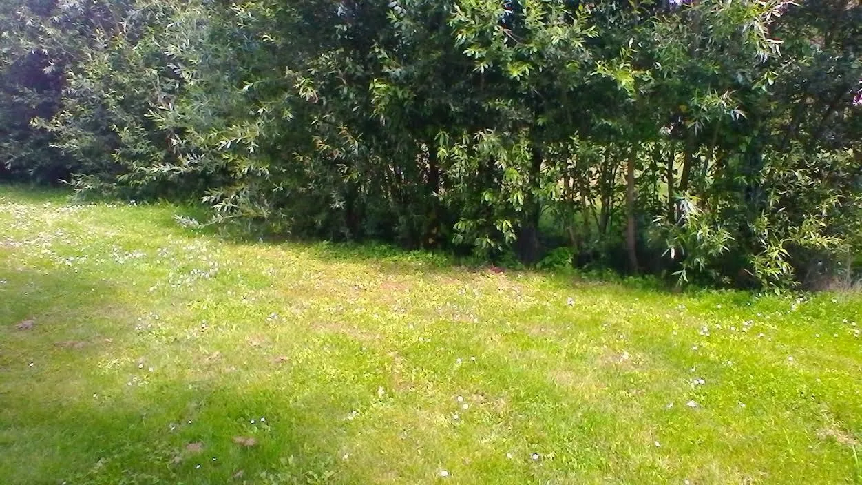Maison neuve 73 m² à Vert-le-Petit (91710)