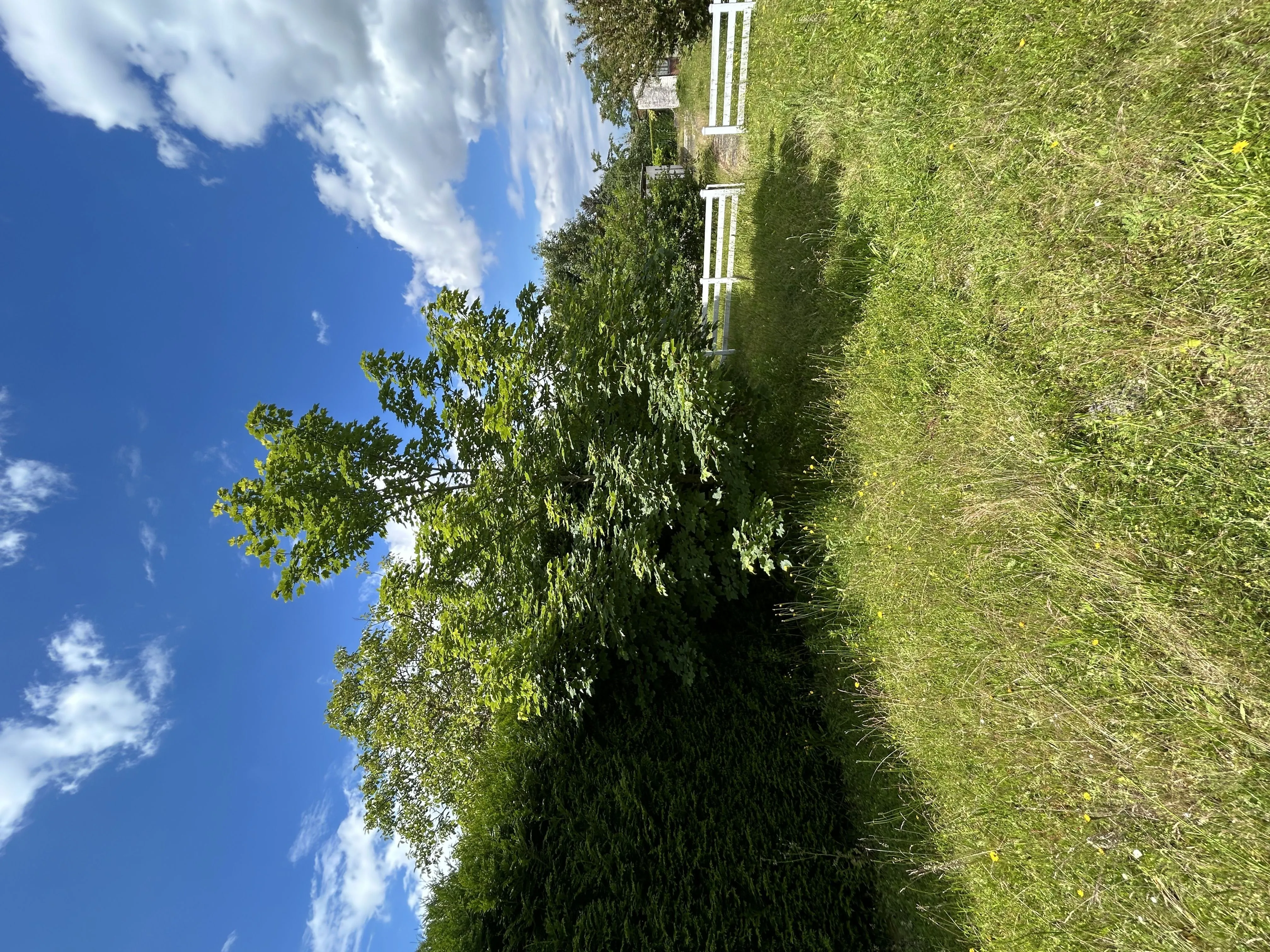 Maison neuve 87 m² à Bezons (95870)