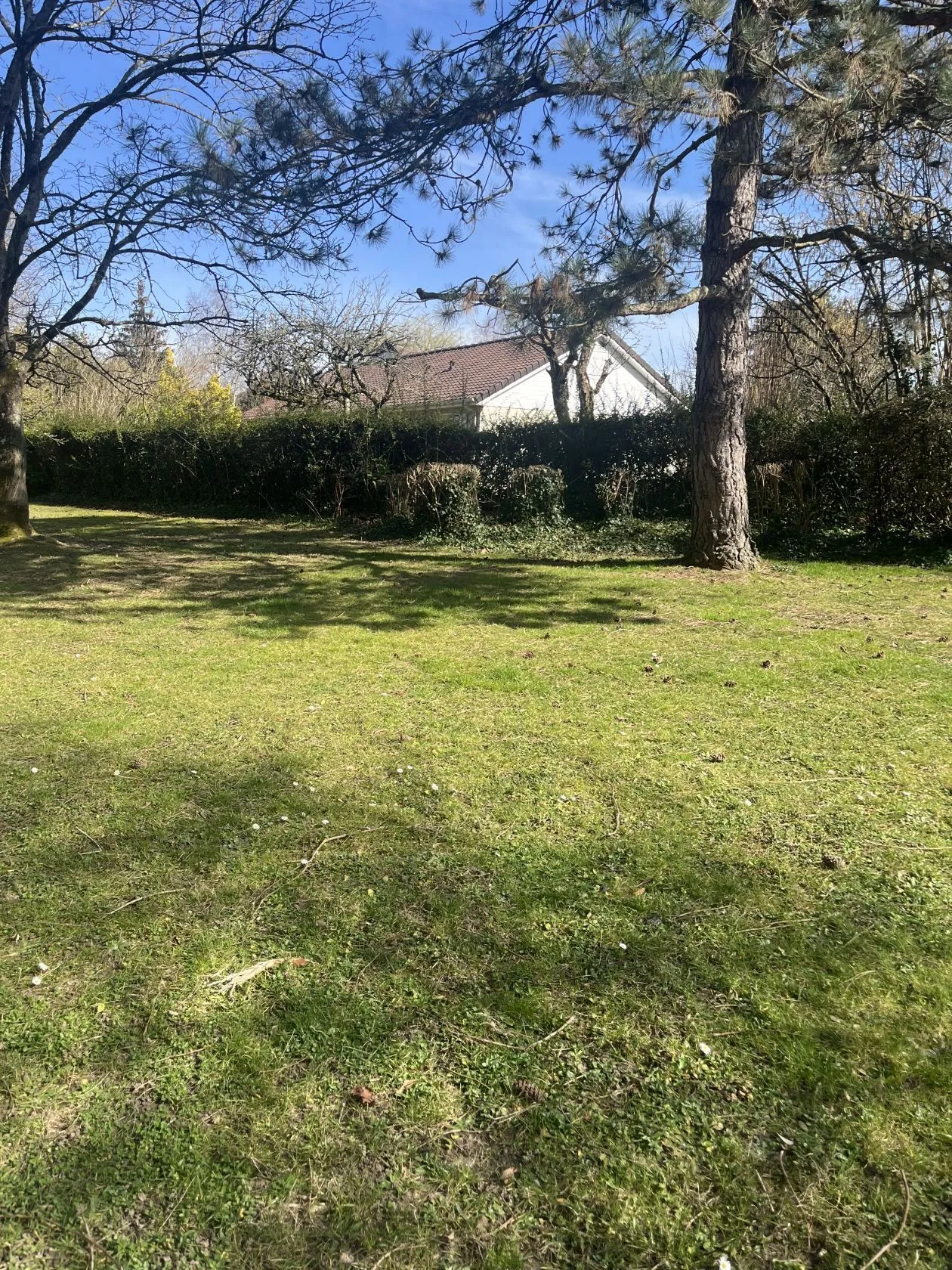 Maison neuve 108 m² à Gif-sur-Yvette (91190)