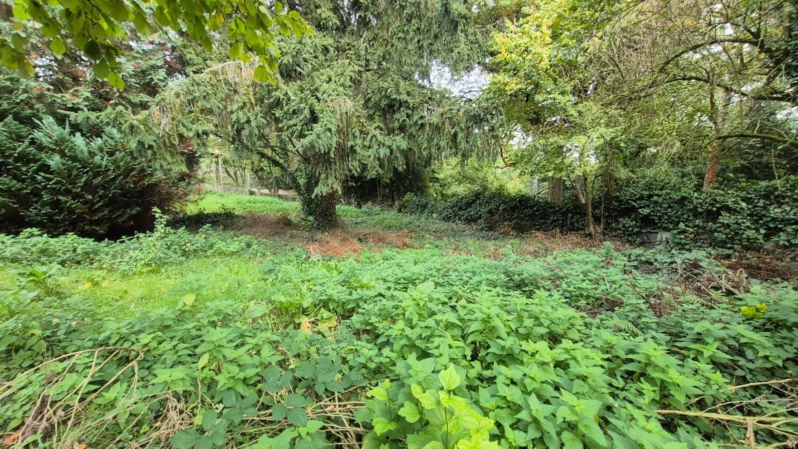 Terrain à bâtir 503 m² à Palaiseau (91120)