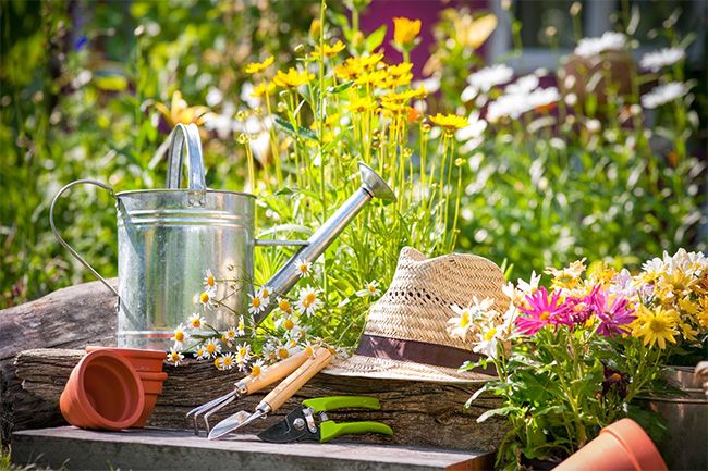 Maison neuve: penser au jardin dès la construction
