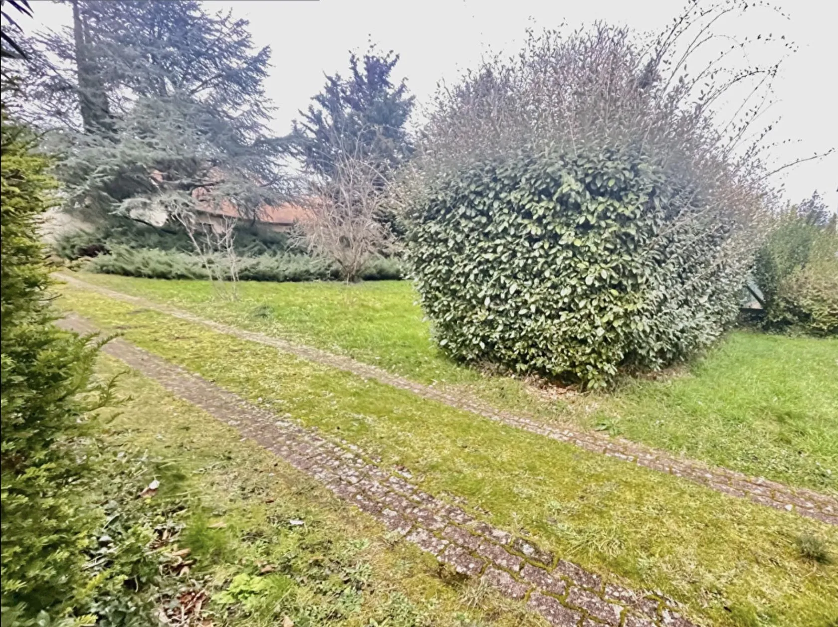 Maison neuve 124 m² à Verrières-le-Buisson (91370)
