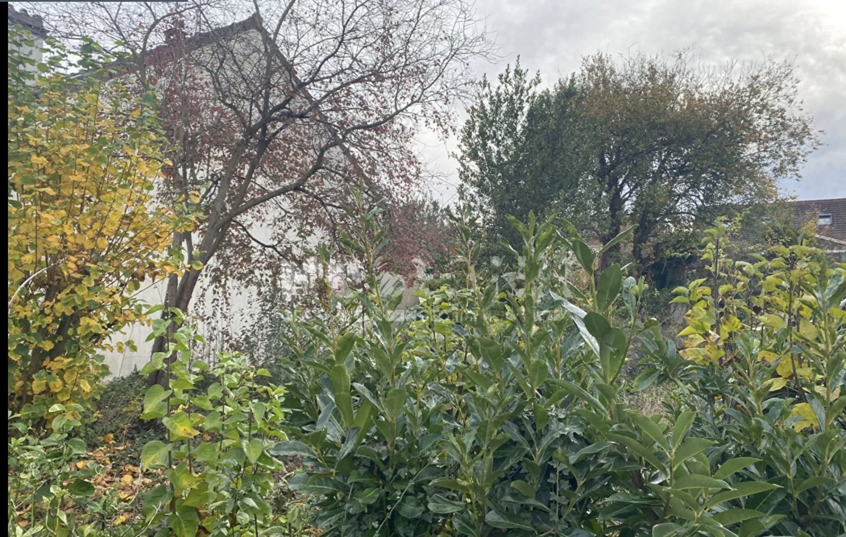 Terrain à bâtir 405 m² à Igny (91430)