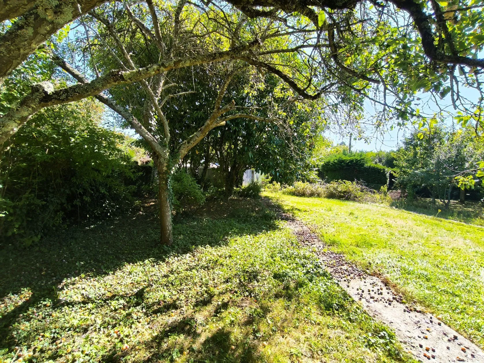Maison neuve 101 m² à Courson-Monteloup (91680)