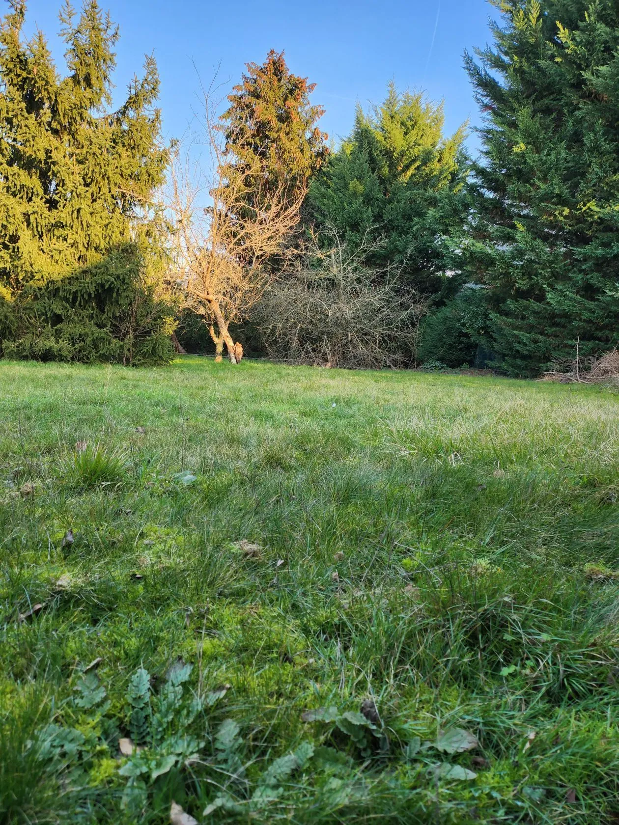 Maison neuve 110 m² à Combs-la-Ville (77380)