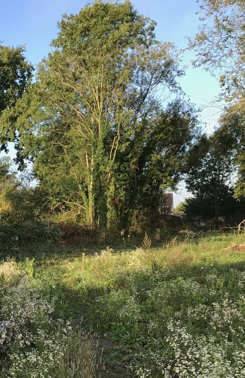 Maison neuve 108 m² à Neuilly-Plaisance (93360)