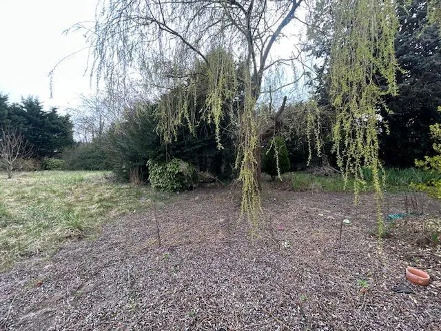 Maison neuve 117 m² à Villiers-sur-Marne (94350)