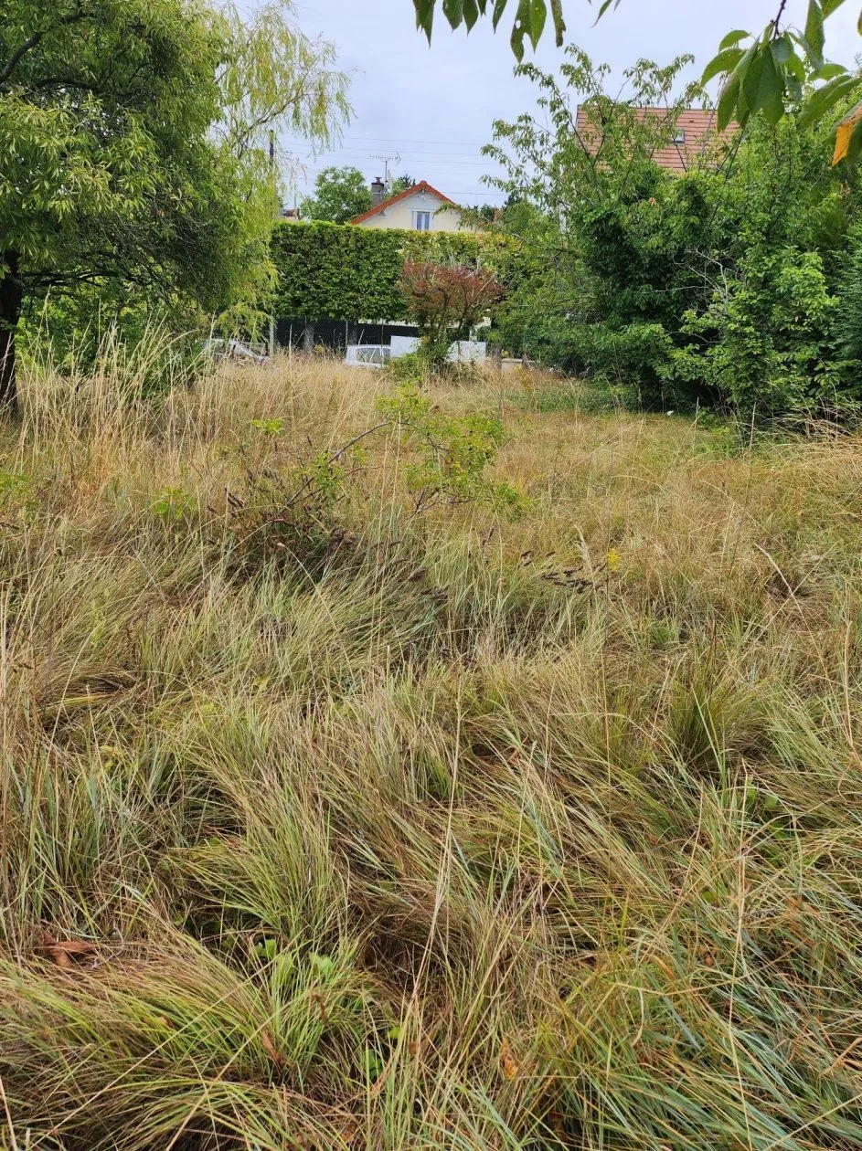 Maison neuve 87 m² à Champigny-sur-Marne (94500)
