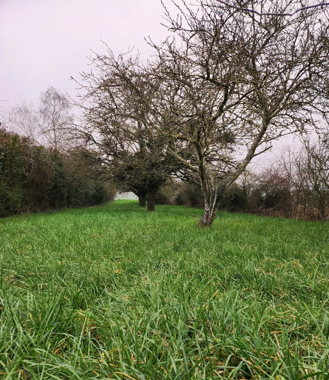 Maison neuve 110 m² à Saint-Pierre-du-Perray (91280)