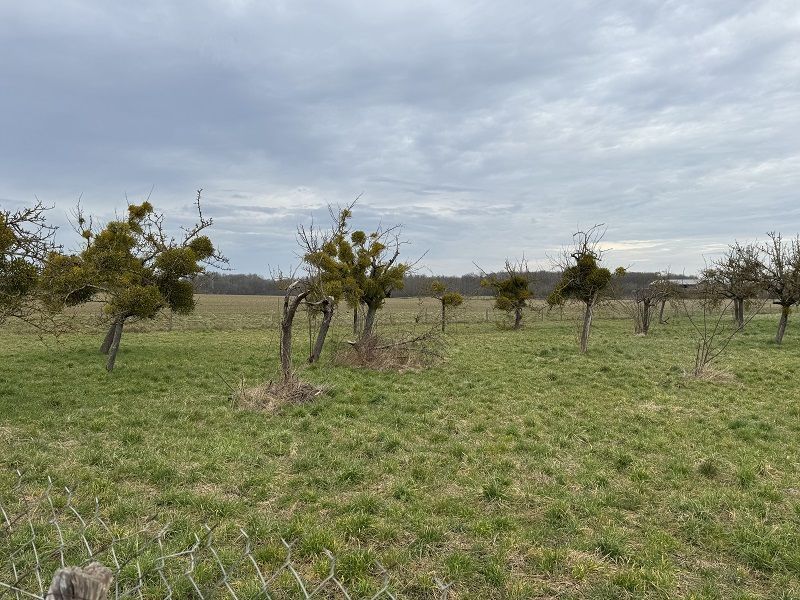 Maison neuve 102 m² à Bû (28410)
