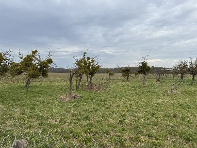 Maison neuve 49 m² à Bû (28410)