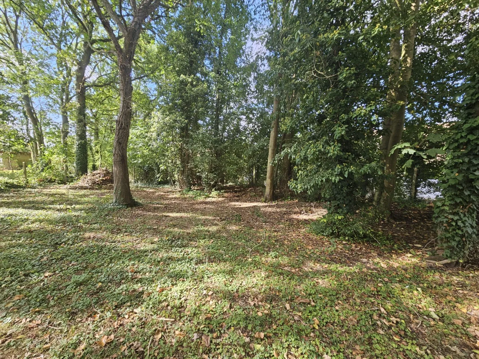 Maison neuve 49 m² à La Ferté-Gaucher (77320)