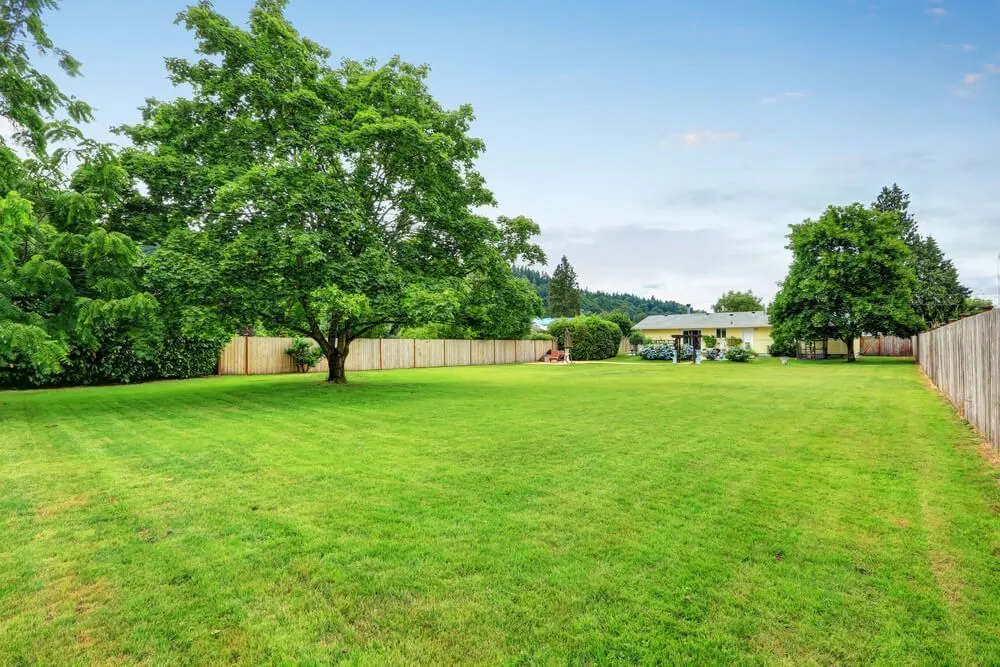 Maison neuve 110 m² à Dammartin-en-Goële (77230)