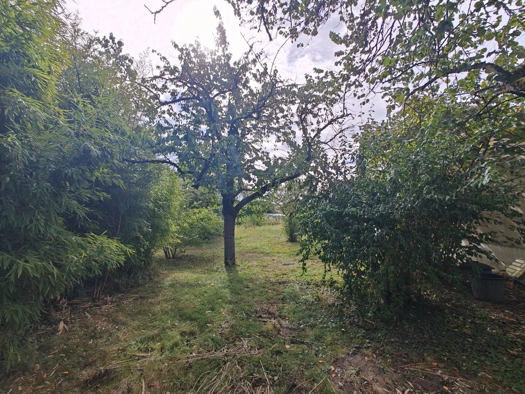 Maison neuve 100 m² à Meaux (77100)