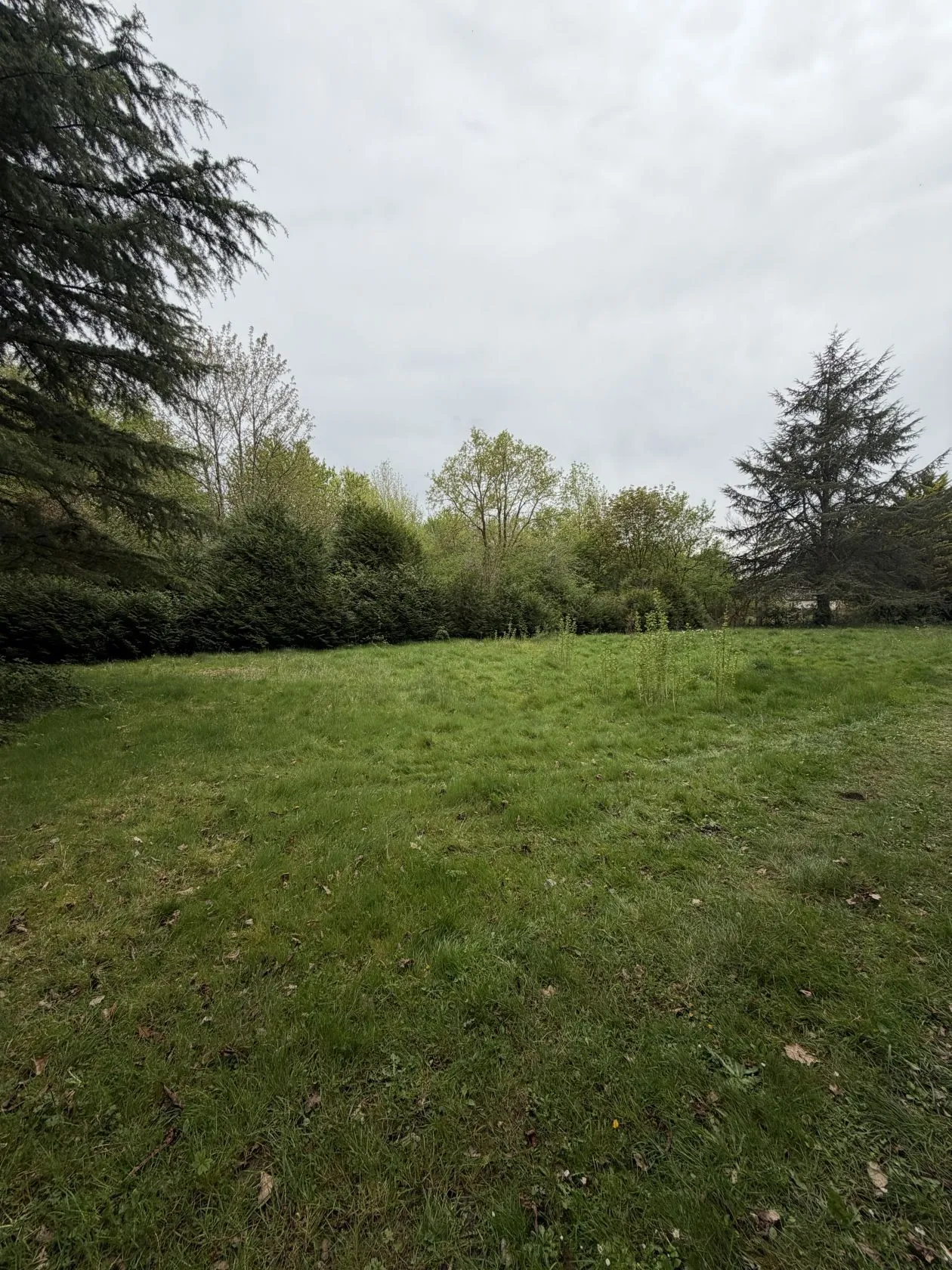 Maison neuve 103 m² à Boissise-le-Roi (77310)