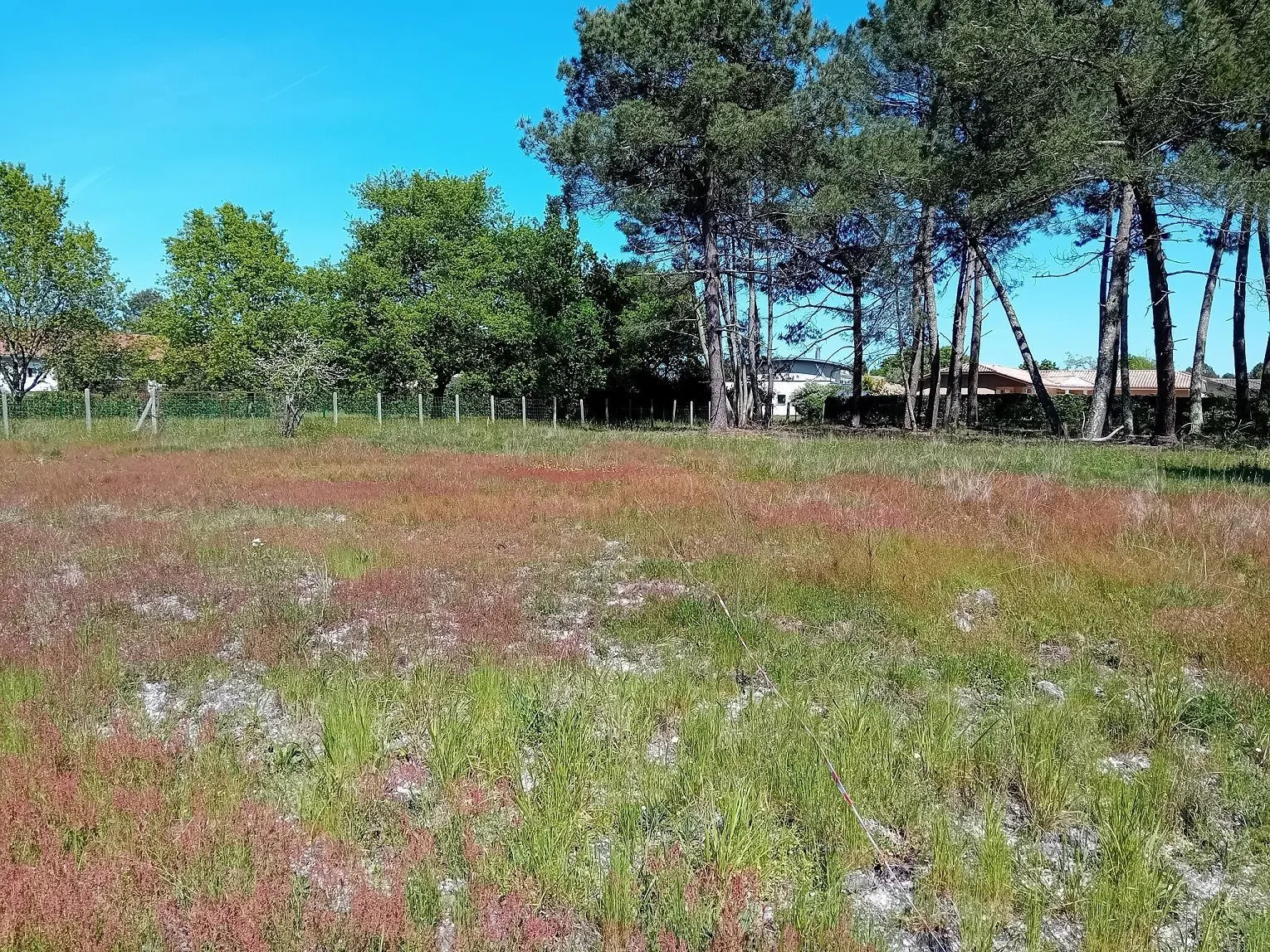 Maison neuve 101 m² à Saint-Aubin-de-Médoc (33160)