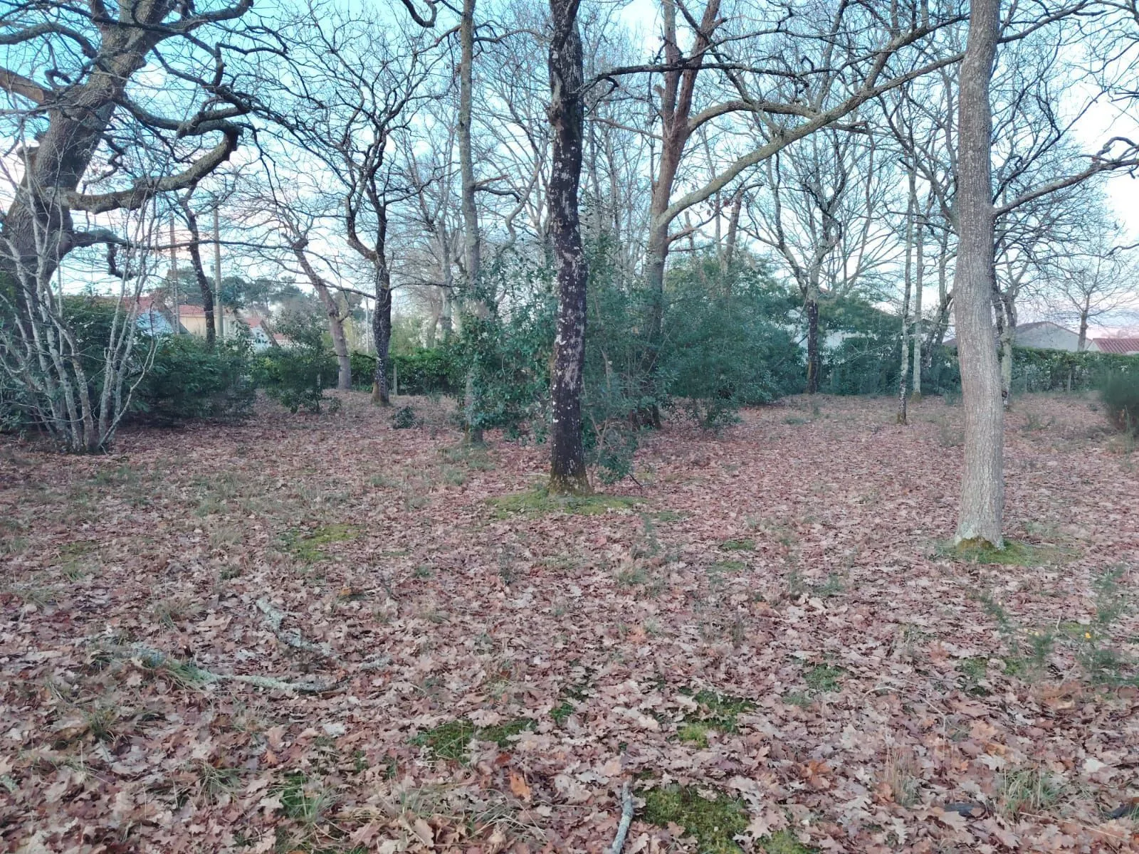 Terrain à bâtir 560 m² à Mont-de-Marsan (40000)