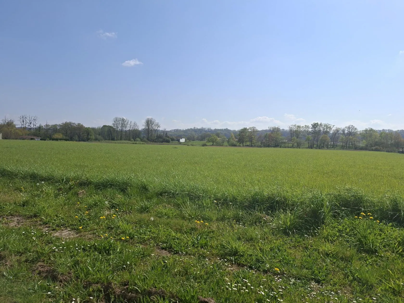 Terrain à bâtir 1400 m² à Toulouzette (40250)