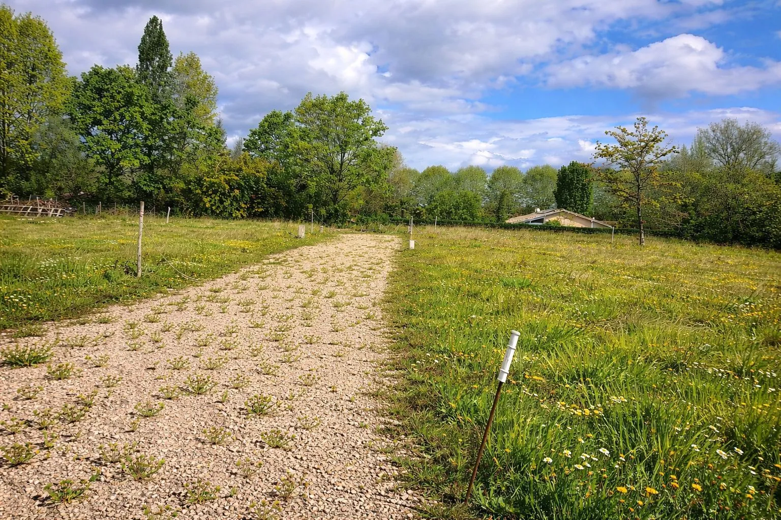 Terrain à bâtir 1249 m² à Haut-Mauco (40280)