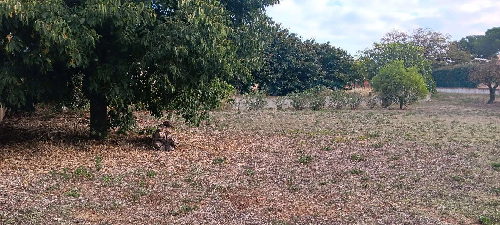 Maison neuve 81 m² à Vinassan (11110)