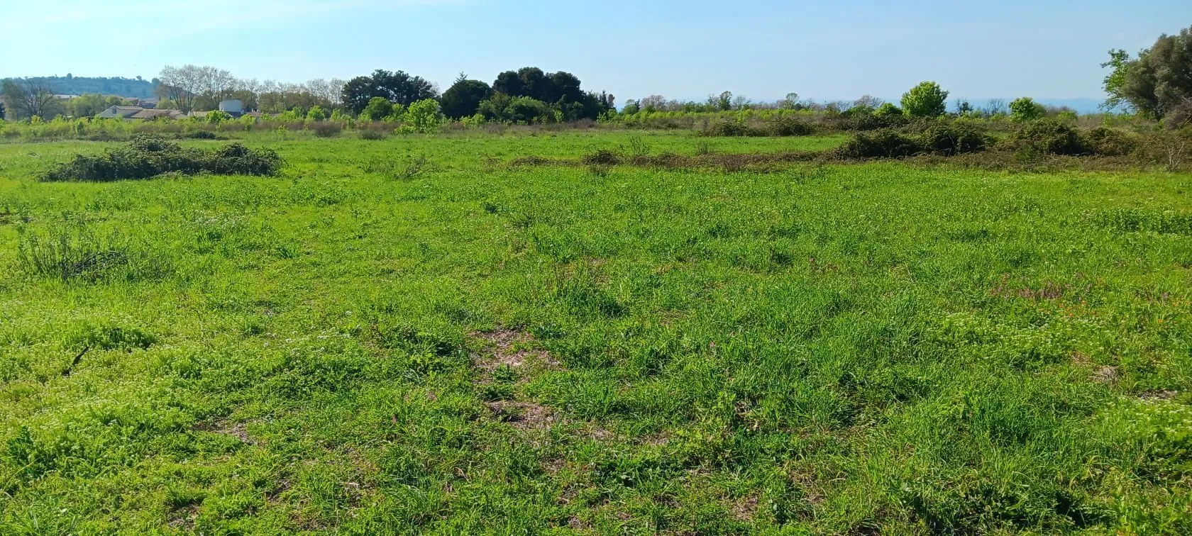 Maison neuve 130 m² à Salles-d'Aude (11110)