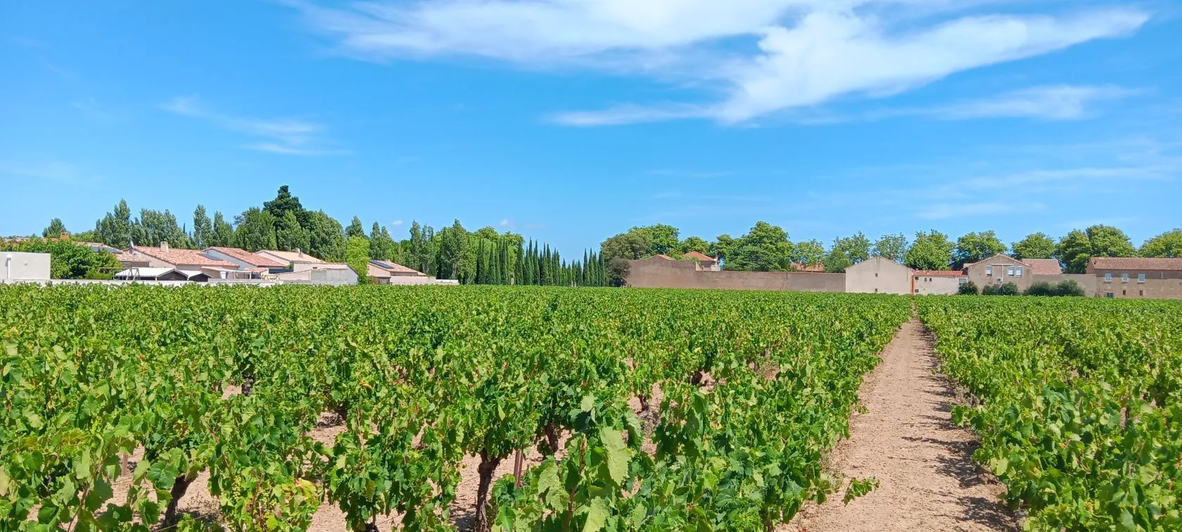 Maison neuve 130 m² à Canet (11200)
