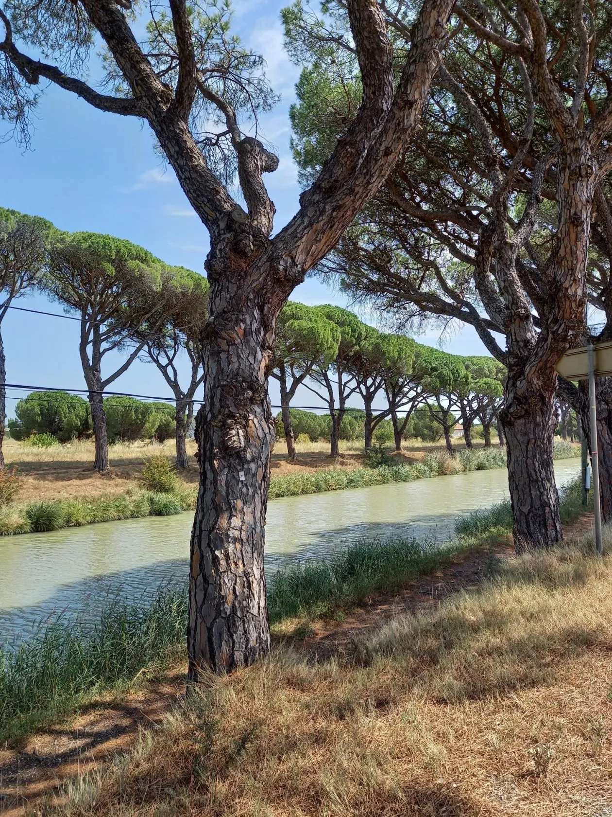 Maison neuve 80 m² à Sallèles-d'Aude (11590)