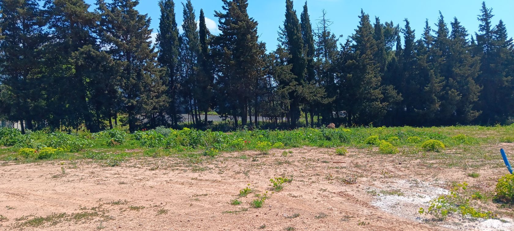 Maison neuve 130 m² à Narbonne (11100)