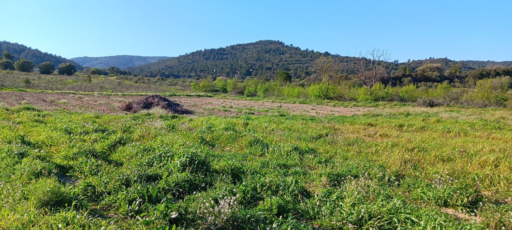 Maison neuve 90 m² à Portel-des-Corbières (11490)