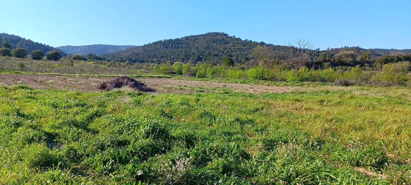 Maison neuve 81 m² à Portel-des-Corbières (11490)