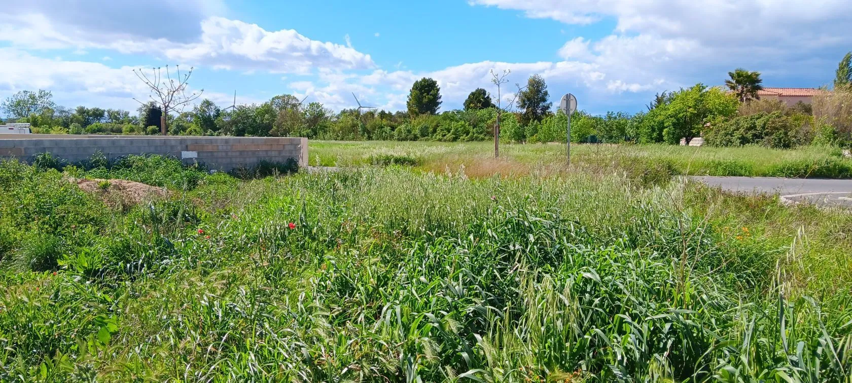 Maison neuve 79 m² à Canet (11200)