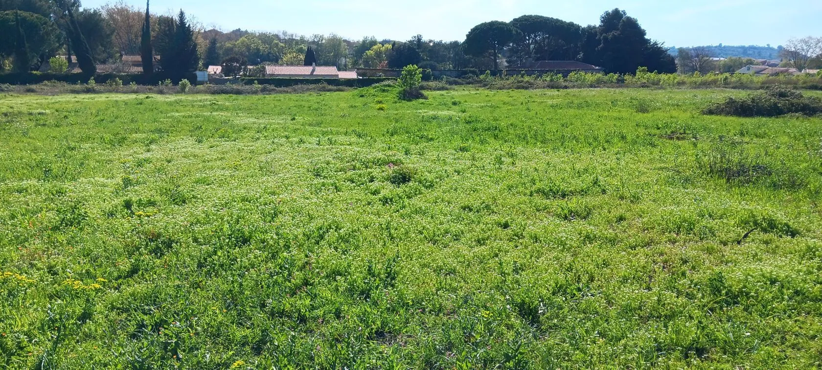 Maison neuve 81 m² à Salles-d'Aude (11110)