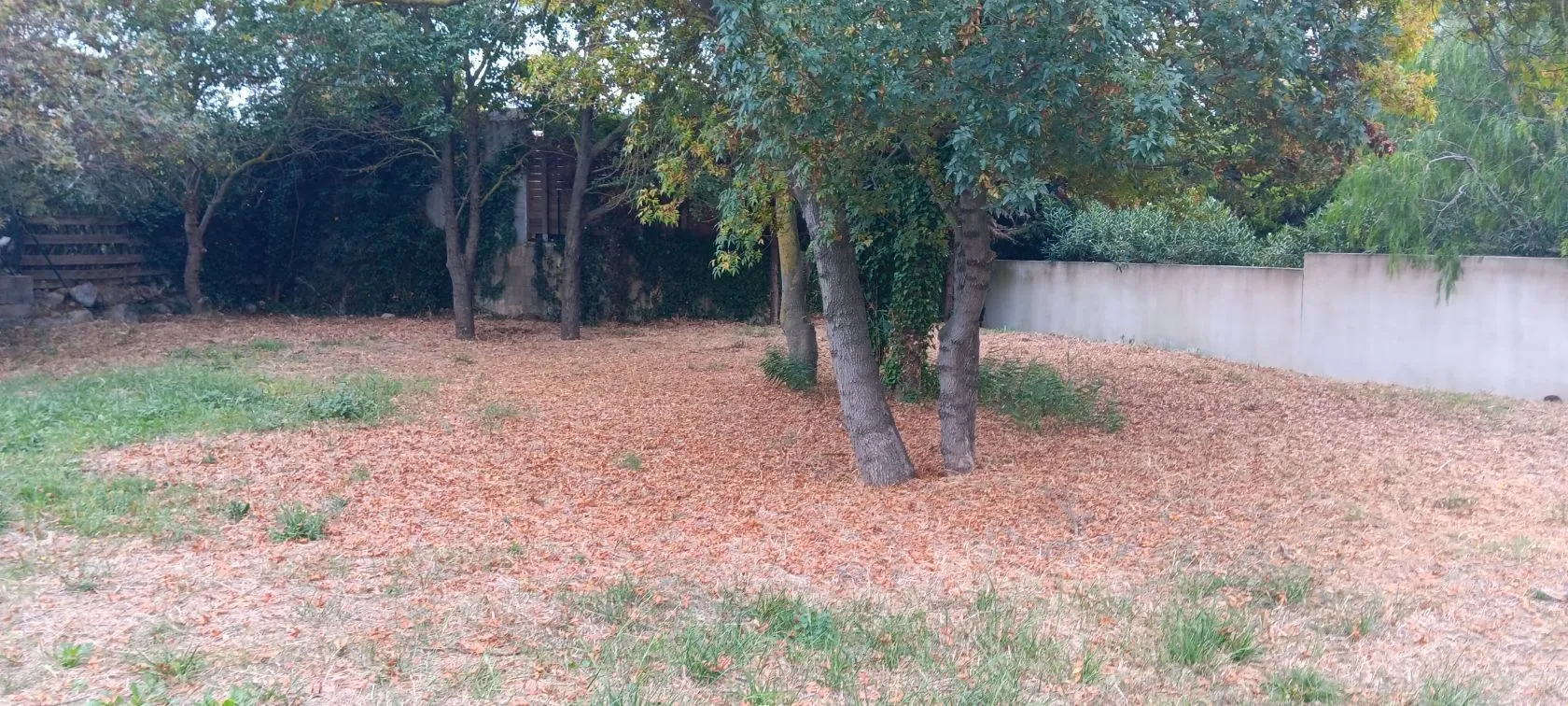 Maison neuve 81 m² à Narbonne (11100)