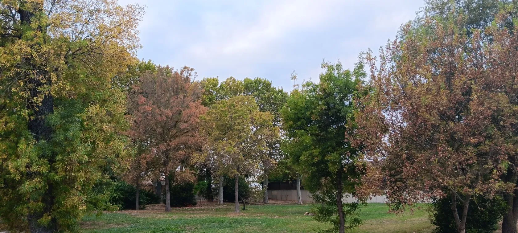 Maison neuve 81 m² à Narbonne (11100)