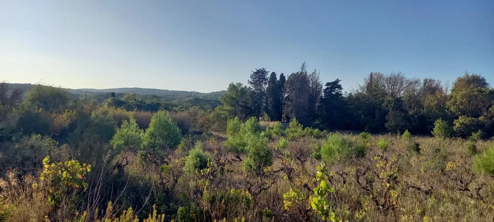 Maison neuve 100 m² à Argens-Minervois (11200)