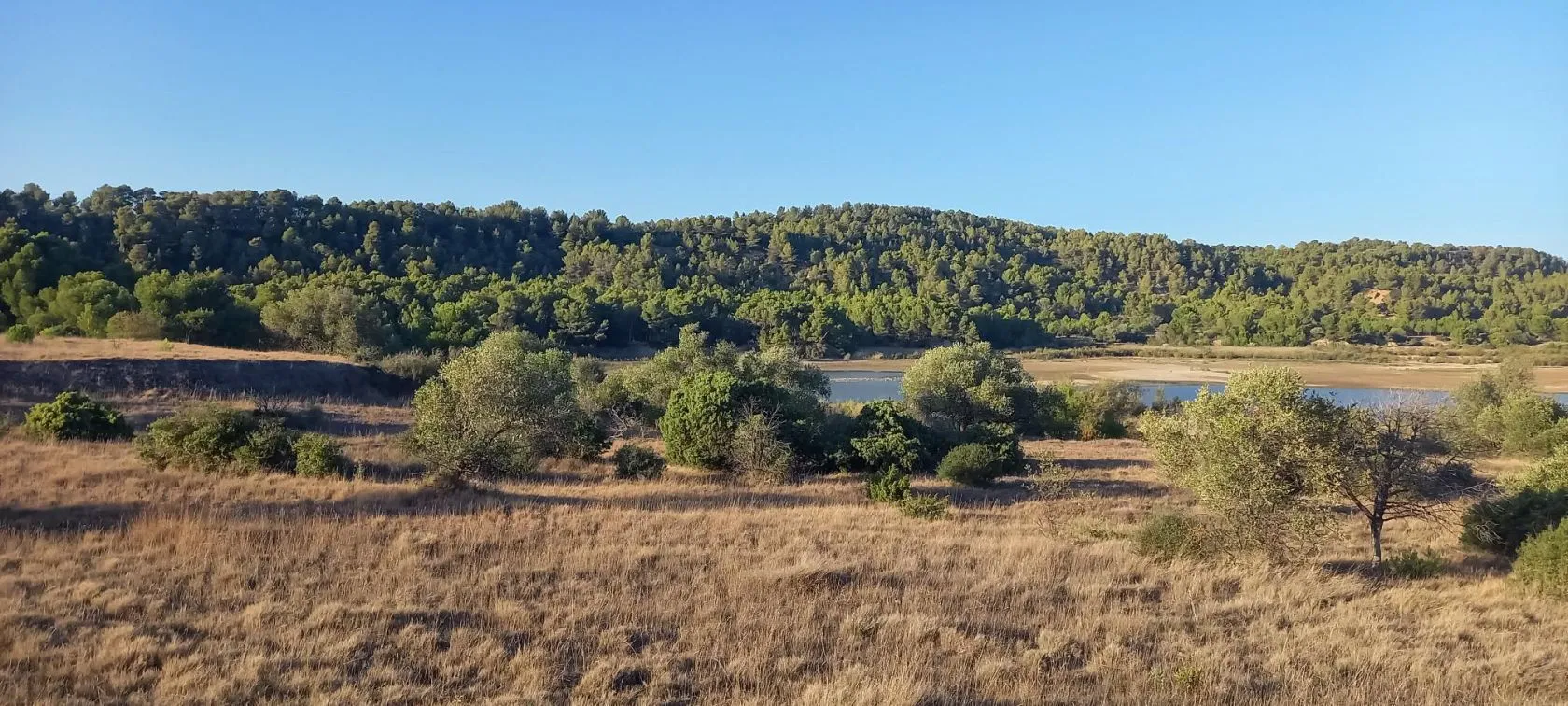 Maison neuve 100 m² à Argens-Minervois (11200)