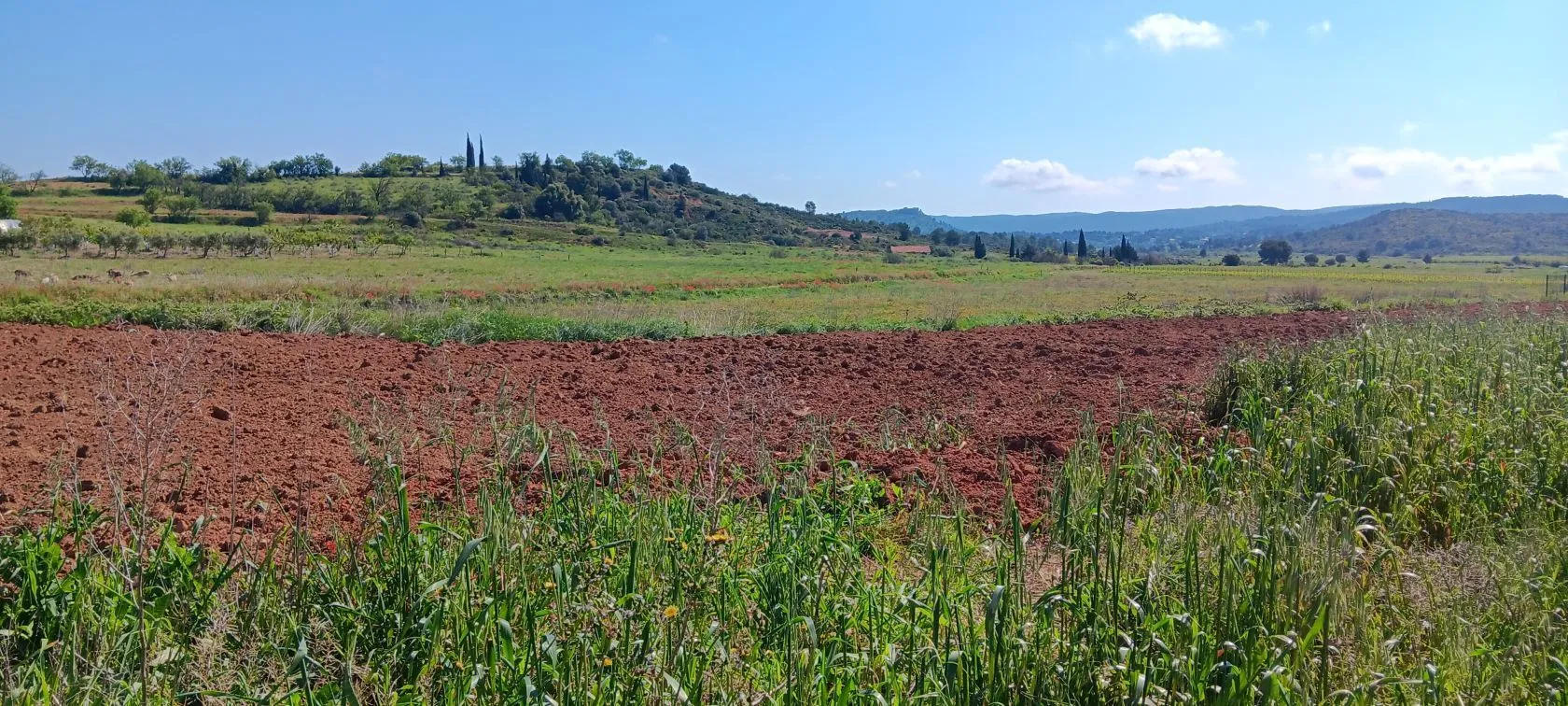 Maison neuve 130 m² à Thézan-des-Corbières (11200)