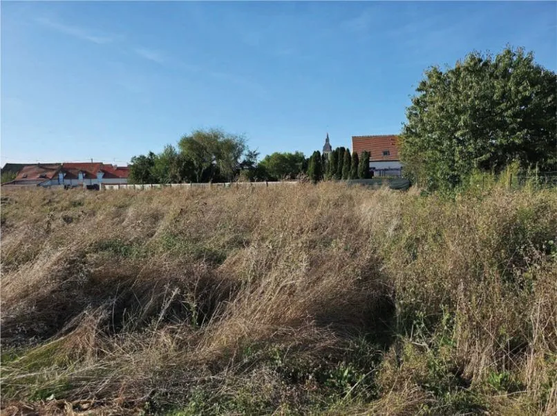 Maison neuve 231 m² à Monnerville (91930)