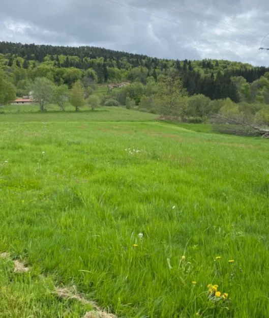 Maison neuve 96 m² au Brugeron (63880)