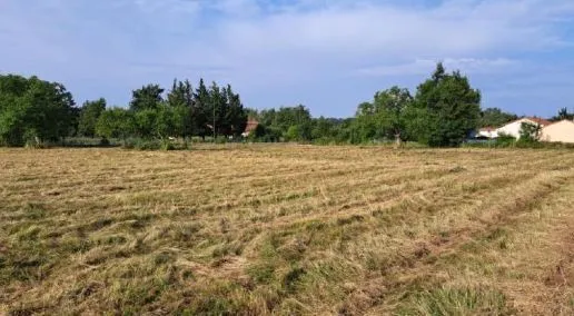 Maison neuve 77 m² à Saint-Jean-d'Heurs (63190)