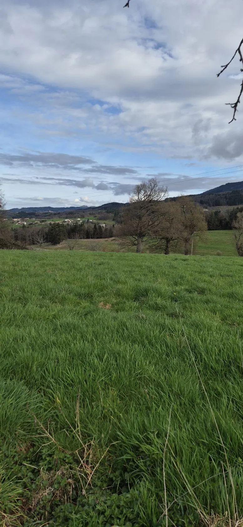 Terrain à bâtir à Augerolles