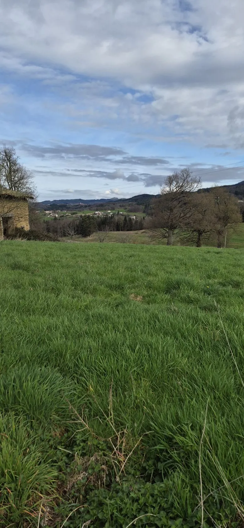 Maison neuve 77 m² à Augerolles (63930)