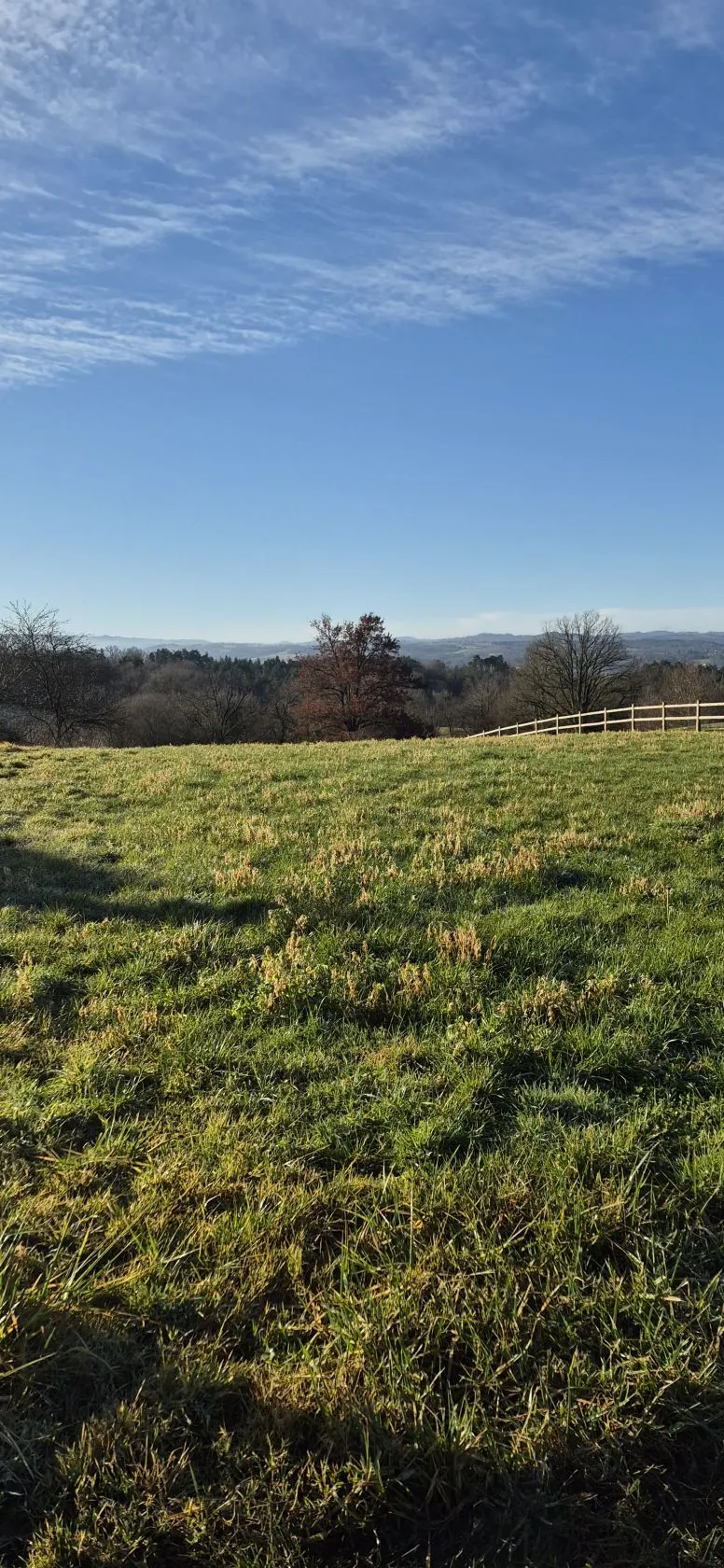 Maison neuve 49 m² à Escoutoux (63300)