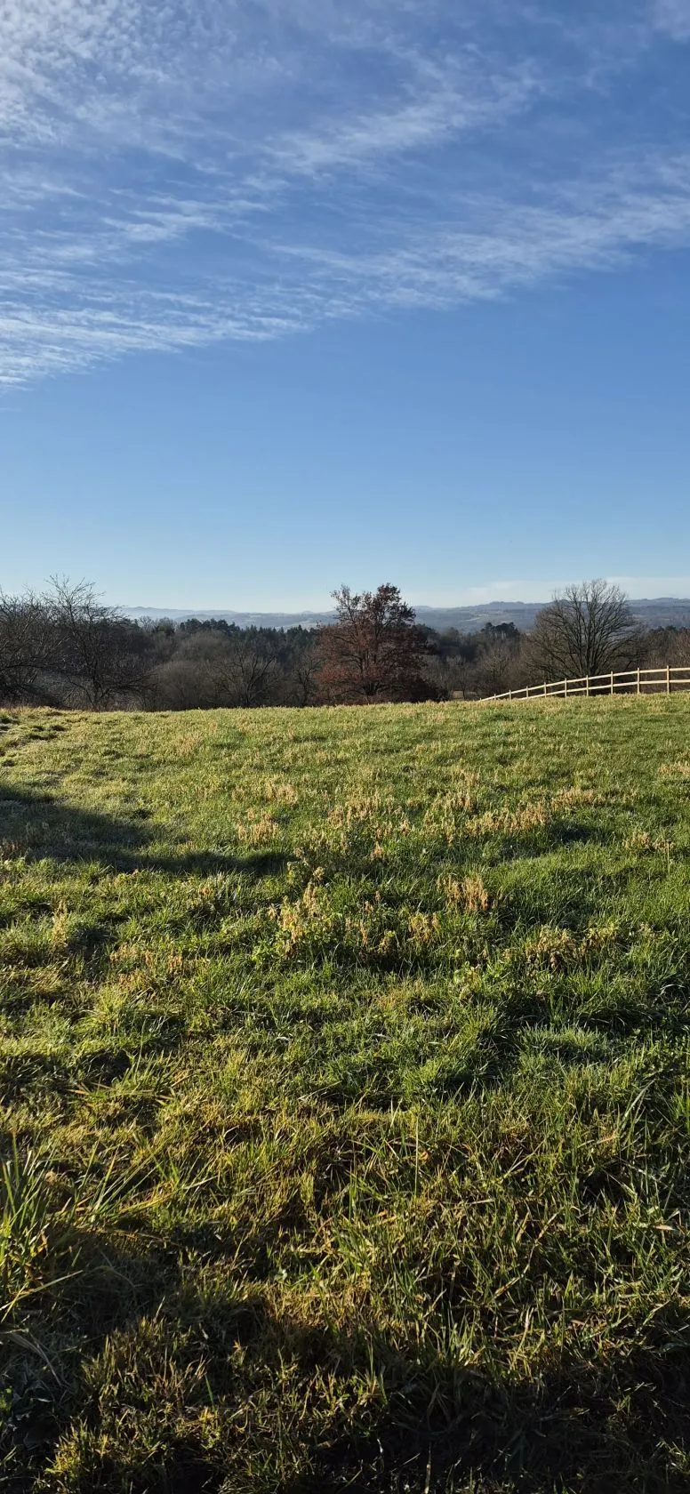Maison neuve 49 m² à Escoutoux (63300)