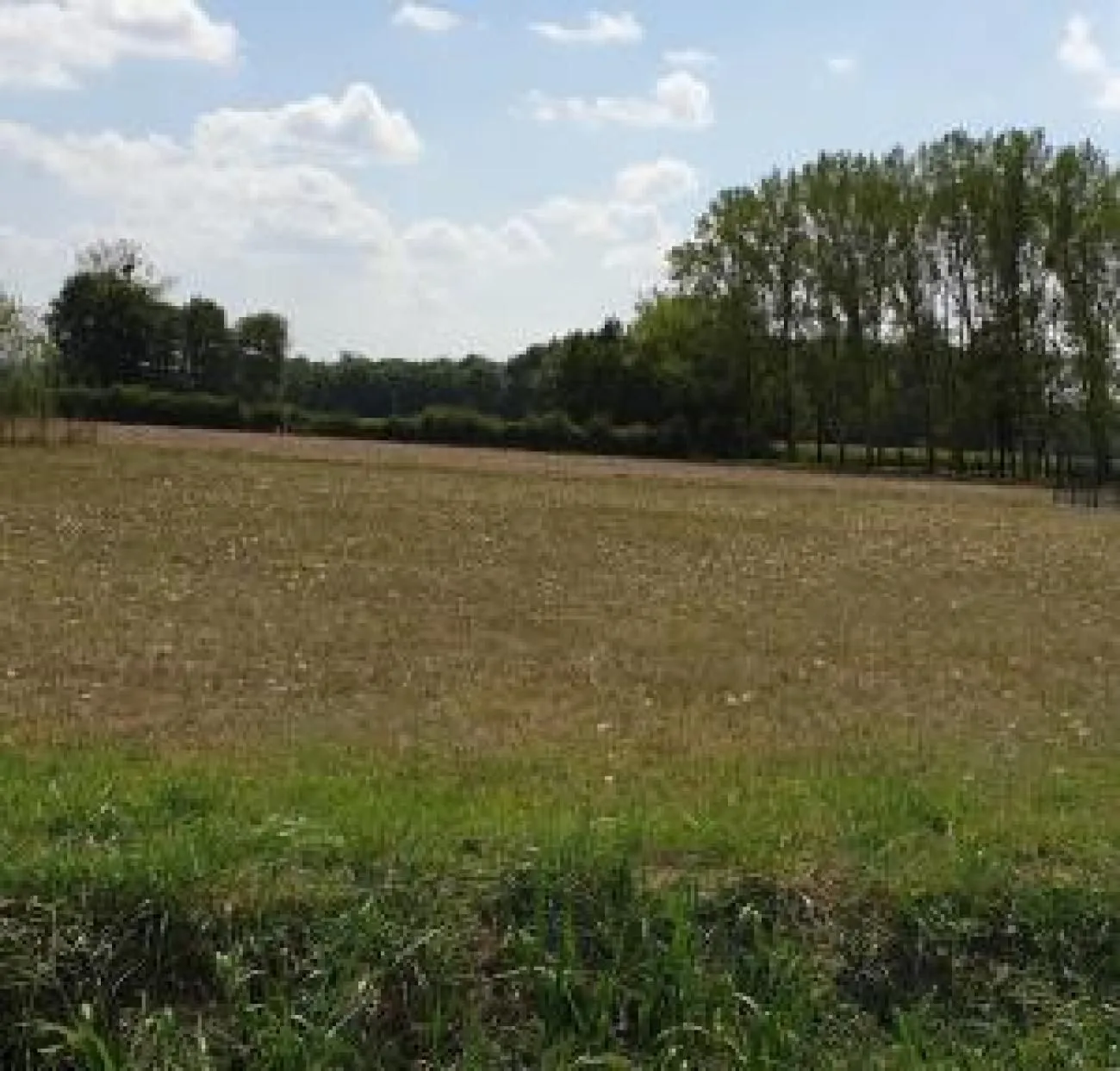 Maison neuve 49 m² à Lezoux (63190)