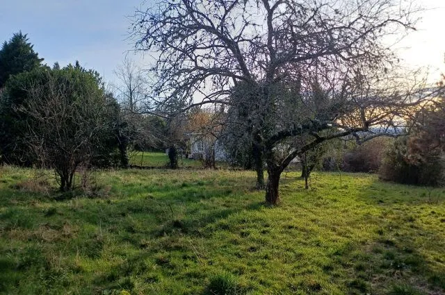 Maison neuve 49 m² à Thiers (63300)