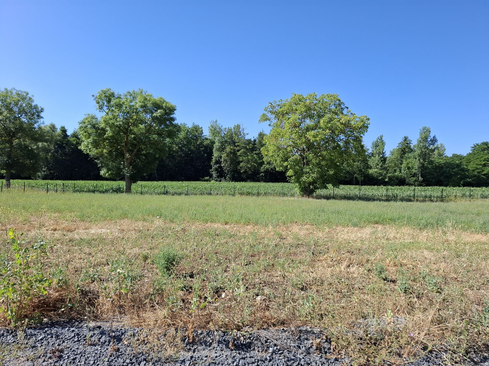 Maison neuve 84 m² à Issoire (63500)