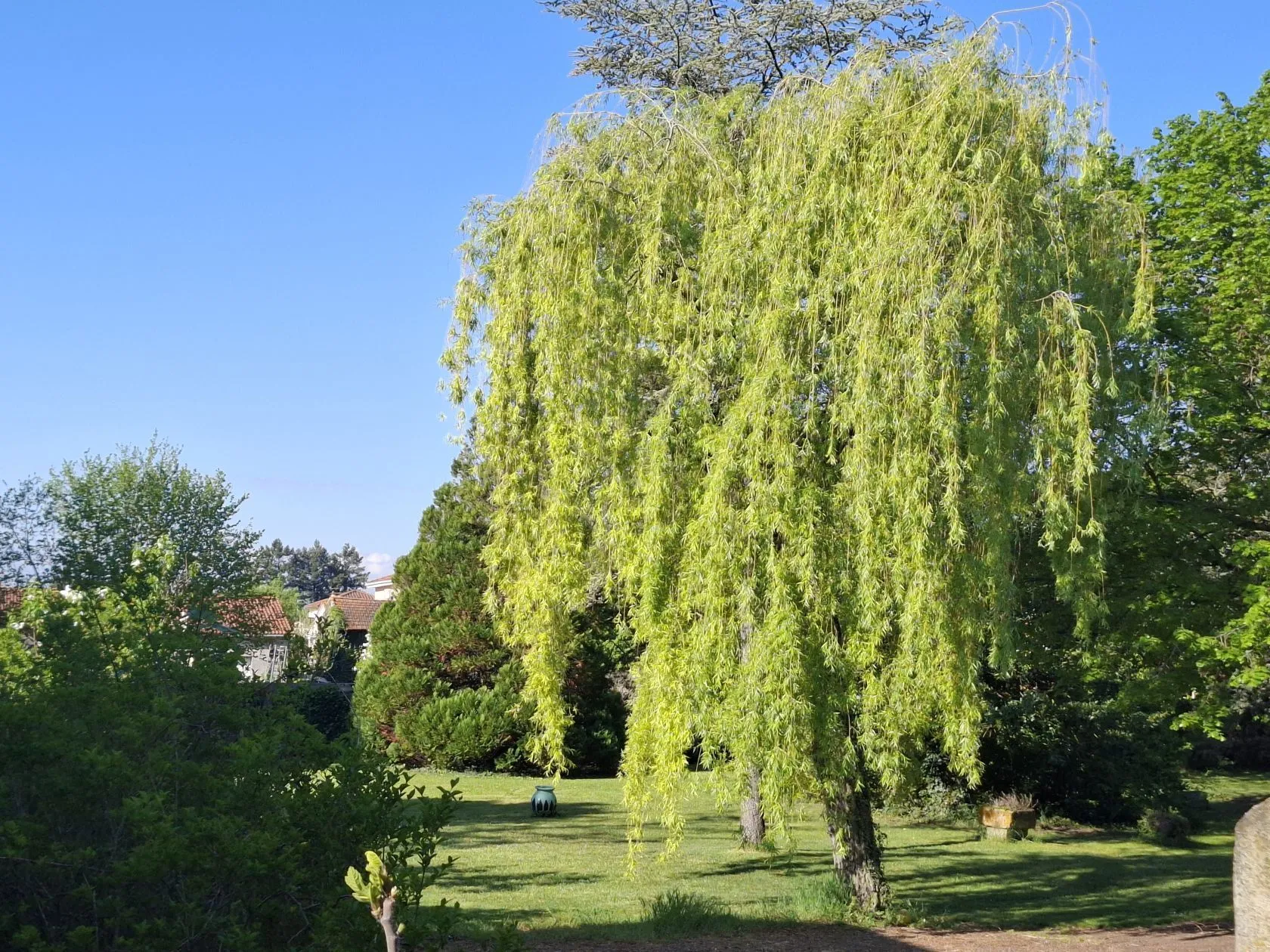 Maison neuve 77 m² à Chappes (63720)