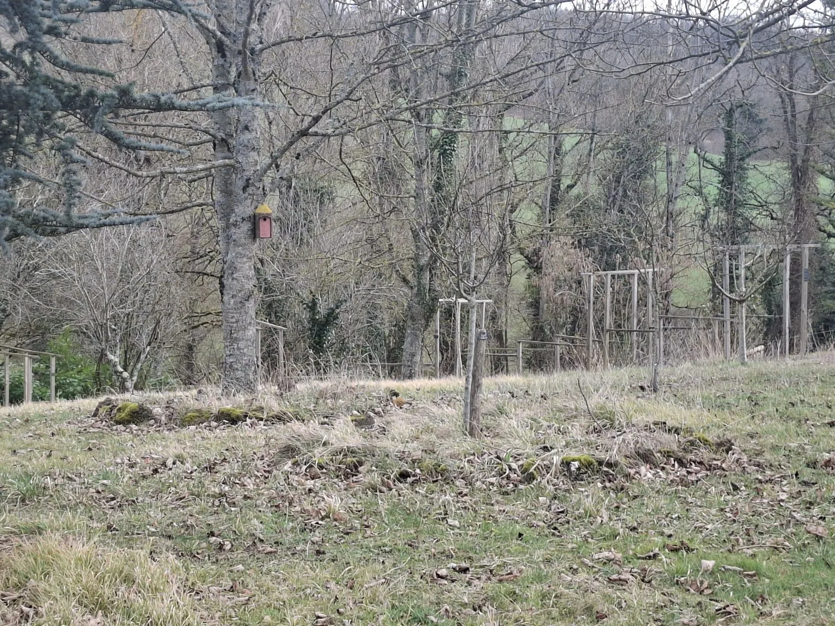 Maison neuve 49 m² à Neuville (63160)